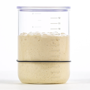 Brod & Taylor - Sourdough Starter Jar - Design and Grace