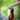 Opinel No.10 Stainless Steel Corkscrew Folding Knife with Bottle Opener - Design and Grace