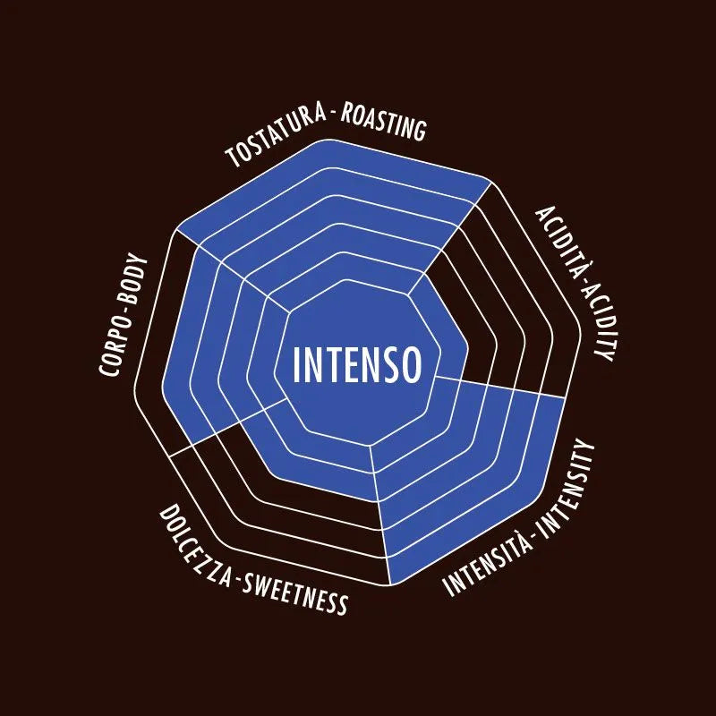 Bialetti - Esperto Grani Intenso Coffee Beans - 17.6oz