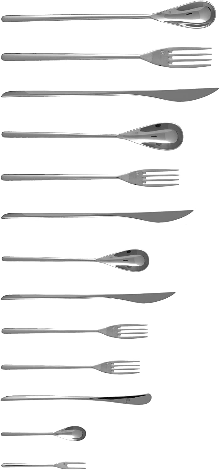 Fortessa Dragonfly 18/10 Stainless Steel Flatware, 8.5-Inch, Set of 12