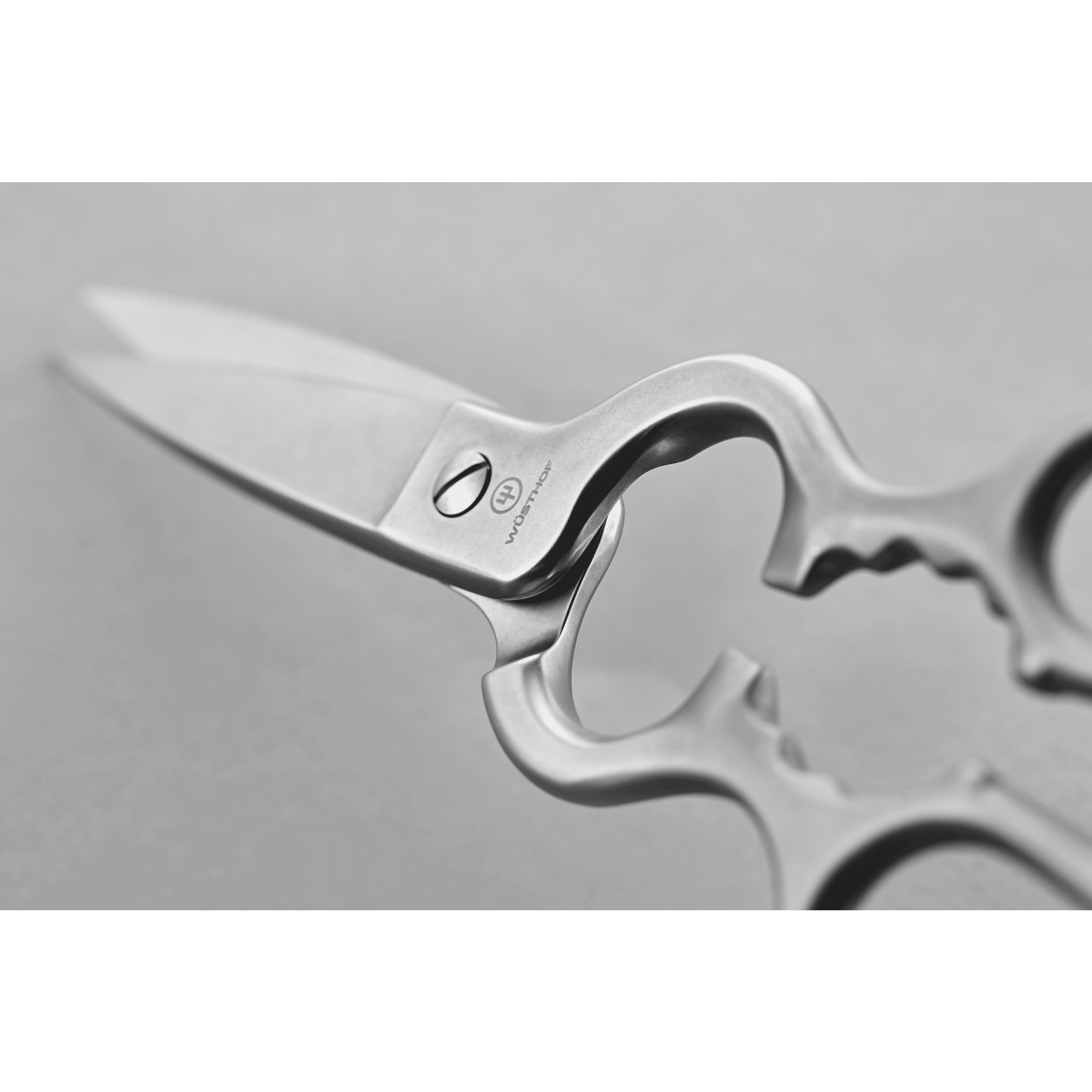 Wüsthof 8.5" Come-Apart Kitchen Shear, Stainless