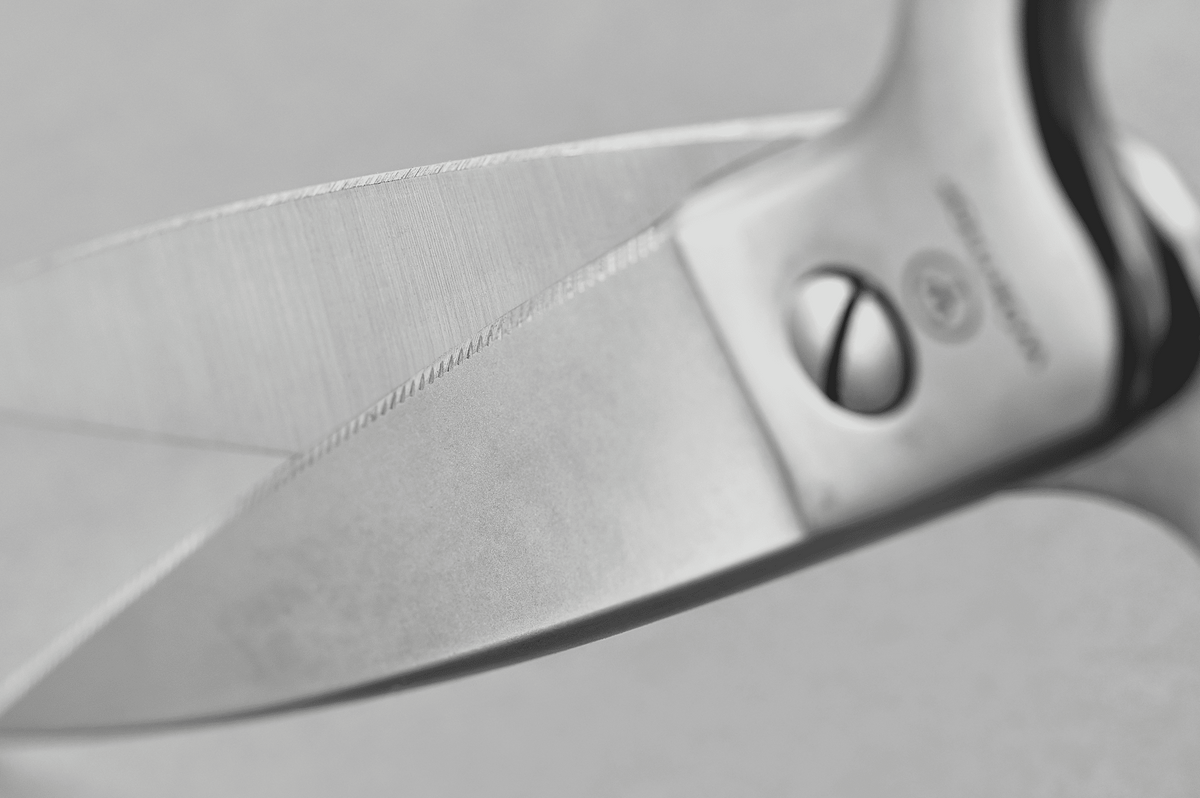 Close-up of the blade and pivot of the WÜSTHOF 8.5" Come-Apart Kitchen Shears