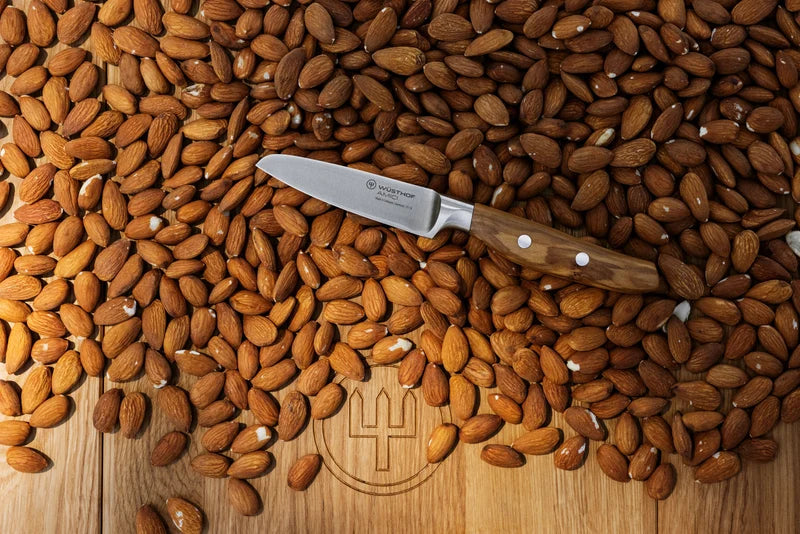 Wüsthof AMICI 3.5" Paring Knife - Natural Olive Wood on a Daily Prep Knife