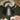 Alessi Michael Graves 9093 BB Kettle - All Black - Design and Grace