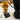 Brod & Taylor Precision Kitchen & Coffee Scale with Timer - Design and Grace