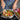 Fissler - M5 Pro-Ply 5 QT, 5-Ply Stainless Steel Sauté Pan - Design and Grace