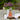 Rosendahl Grand Cru Barware Water Carafe - Clear - 30.4 Oz - Design and Grace