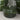 STAUB La Cocotte Mini Round Dutch Oven 0.25 Qt - Basil - Design and Grace
