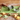 Marcato- Square Smooth Pasta Cutter 2.5" - Design and Grace