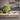 Wüsthof CLASSIC WHITE 4 1/2 Inch Steak Knife - Design and Grace
