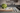 Wüsthof CLASSIC WHITE 3 1/2" Pairing Knife - Design and Grace
